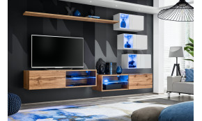 Switch XXIV Sekcija wotan / balta blizgi WTW SW 24