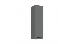 NESSA 30 G-108 1F pakabinama spintelė