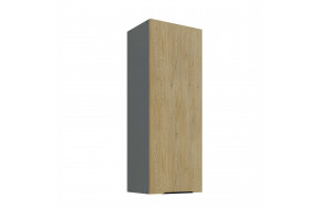 CREMONA ANT 40 G-108 1F pakabinama spintelė