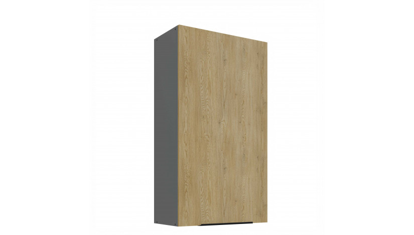 CREMONA ANT 60 G-108 1F pakabinama spintelė