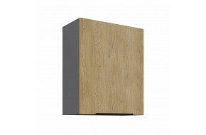 CREMONA ANT 60 G-72 1F pakabinama spintelė