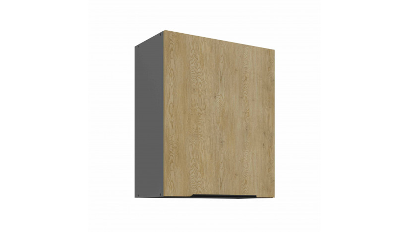 CREMONA ANT 60 G-72 1F pakabinama spintelė