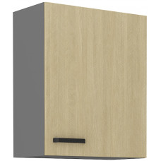 SCANDI 60 G-72 1F pakabinama spintelė
