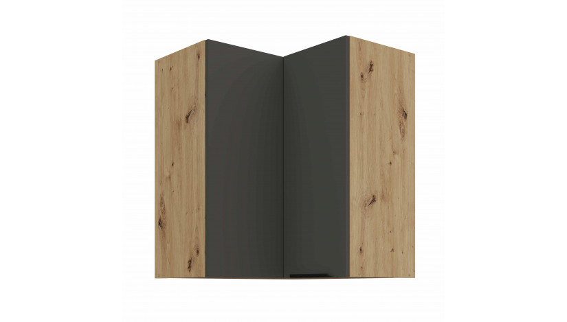 ARIA GR/AR 60x60 GN-72 2F 90° pakabinama kampinė spintelė