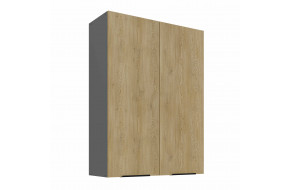 CREMONA ANT 80 G-108 2F pakabinama spintelė