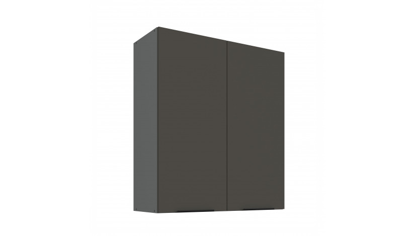 ARIA GR/ANT 80 G-90 2F pakabinama spintelė
