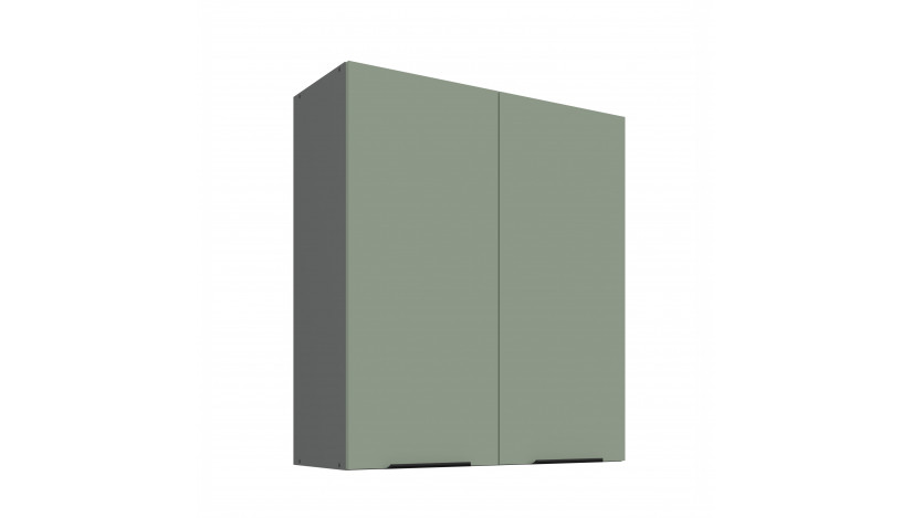 ARIA SA/ANT 80 G-90 2F pakabinama spintelė