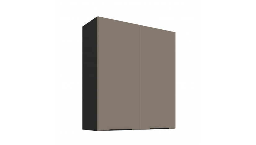 ARIA TA/BL 80 G-90 2F pakabinama spintelė