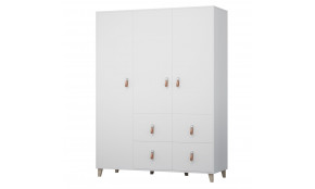 FIGO 19 Spinta 4S3d