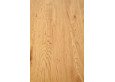 TRIPOLIS Stalas 120 x 70 cm