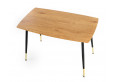 TRIPOLIS Stalas 120 x 70 cm