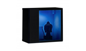 Switch WW 5 Vitrina pakabinama juoda / juoda blizgi