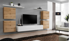 Switch IV Sekcija wotan / balta blizgi WTW SW 4