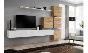 Switch IX Sekcija wotan / balta blizgi WWT SW 9