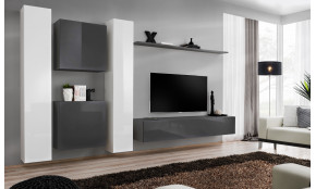Switch VI Sekcija balta blizgi / grafito blizgi 27 WG SW 6