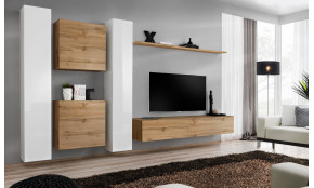 Switch VI Sekcija wotan / balta blizgi WWT SW 6