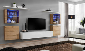 Switch XIV Sekcija wotan / balta blizgi WTW SW 14