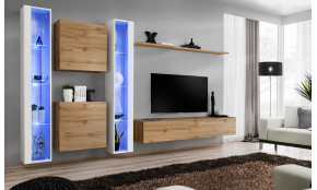 Switch XVI Sekcija wotan / balta blizgi WWT SW 16